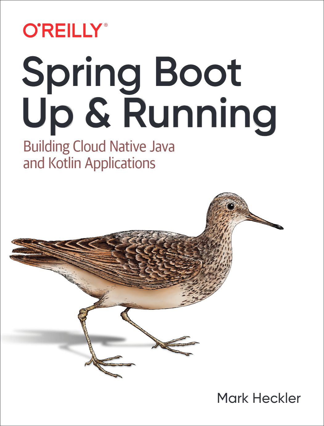 Spring Boot Mastery
